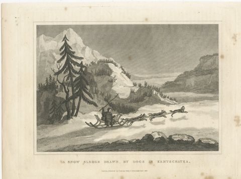 Snow Sledge Drawn by Dogs in Kamchatka, Russia, Antique Engraving, 1829
