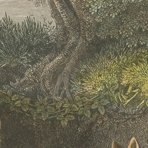 Original Antique Print of Foxes, 1854, close-up 2