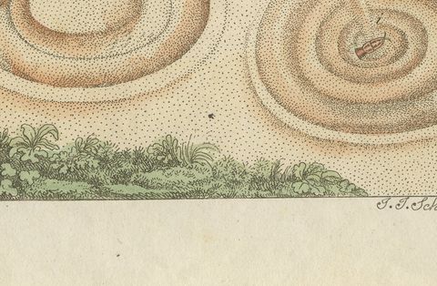 Insect Pit Traps in Sand, Antique Bertuch Print, circa 1805, close-up 2