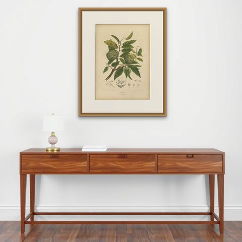 Antique Sugar Apple Botanical Chromolithograph by Hoola van Nooten, c. 1880, shown framed on a wall