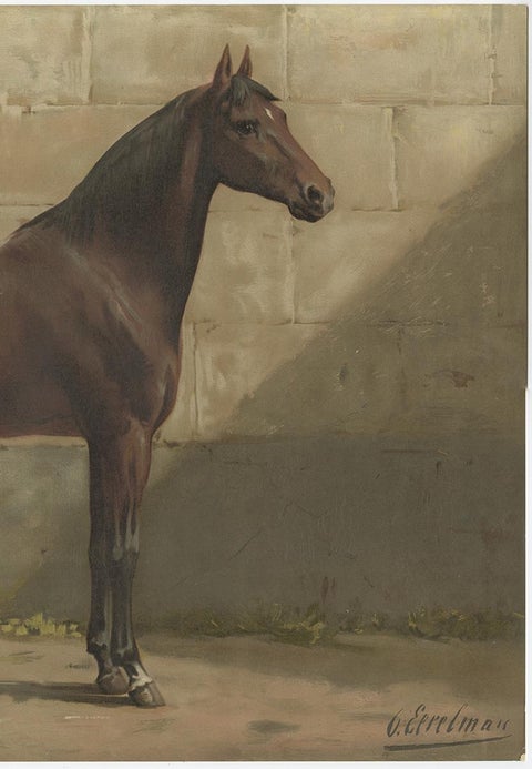Antique Print of the East Prussian Horse by O. Eerelman, 1898, view 3