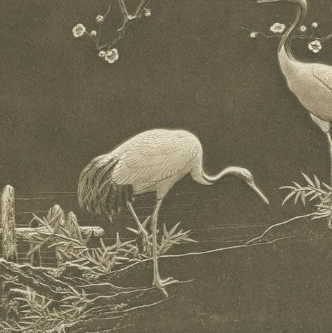 Cranes and Blossoms in a Japanese Ornamental Scene, Heliograph by Audsley 1884, close-up 5