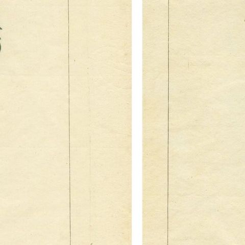 Set of Two Antique Prints of Various Green / White Grape Varieties, close-up 1