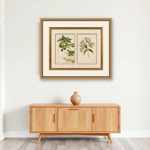 Pair Antique Botanical Lithographs, Sorbus Toringo & Phlox, 1856, shown framed on a wall