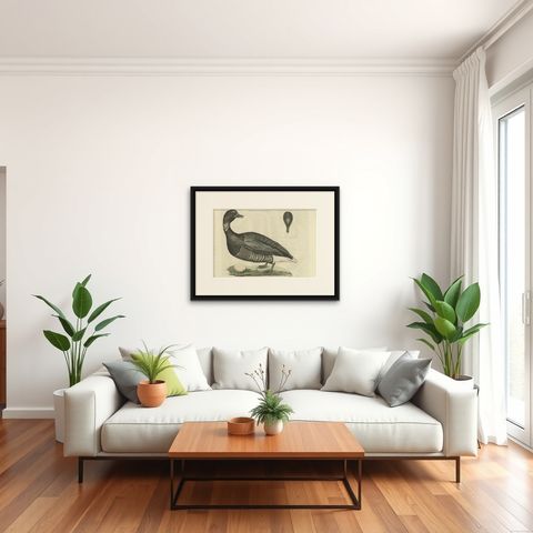 Brent Goose, Antique Bird Engraving by Nozeman and Sepp, 1789, shown framed in a room
