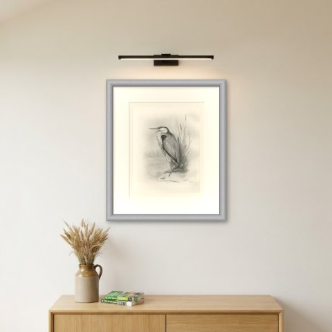 Gray Heron Standing by Reeds, Plate CL after Lilian Medland, c. 1909, shown framed on a wall