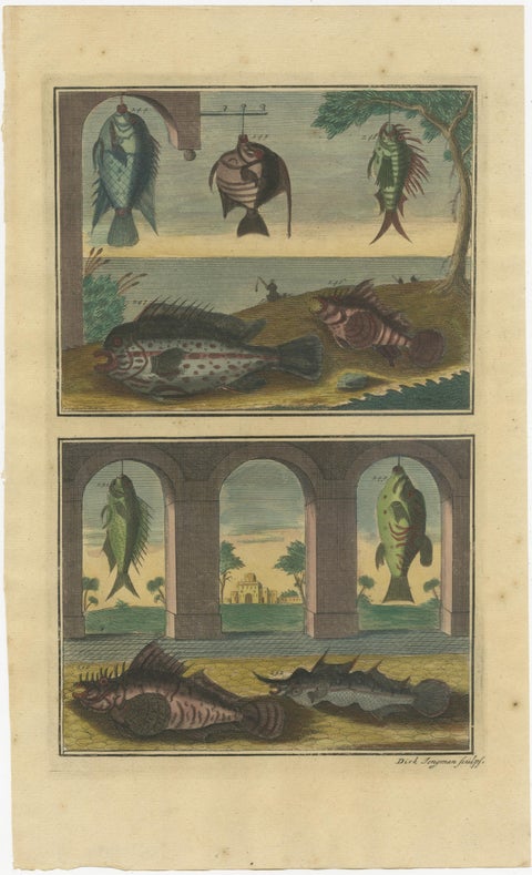 Set of 8 Colored Antique Prints of Various Fishes and Crustaceans, view 8