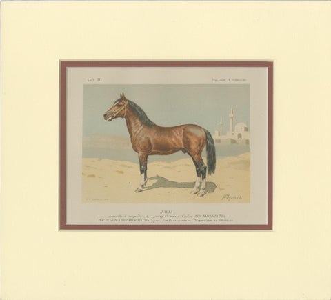 Set of 2 Antique Horse Prints by Simonov, view 3
