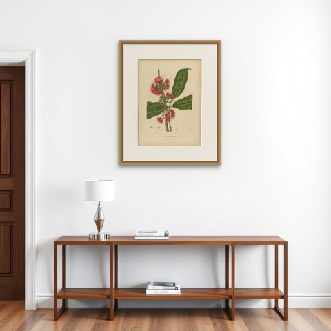 Antique Wax Apple Blossom Botanical Chromolithograph by Hoola van Nooten, c.1880, shown framed on a wall