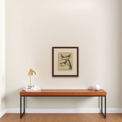 Exotic Birds of the World: A 1765-1780 Study by Martinet and Buffon, shown framed on a wall