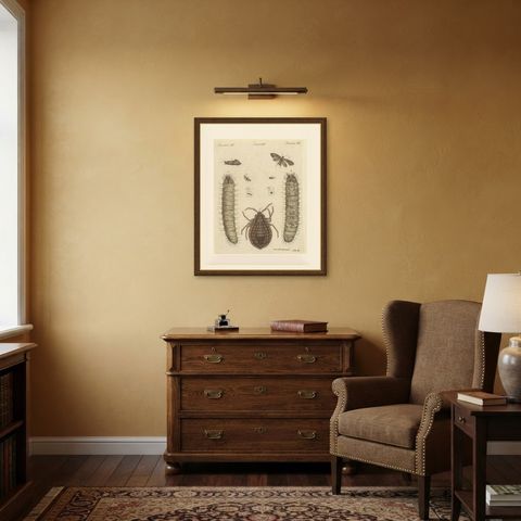 Magnified Insect Larvae and Small Moths, Antique Bertuch Print, circa 1805, shown framed in a room
