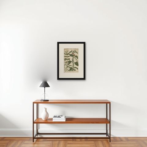 Copper Engraving of Spike Speedwell and Various Other Plants, 1745, shown framed on a wall