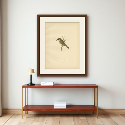 Antique Bird Print of the Reed Warbler by Von Wright, 1927, shown framed on a wall