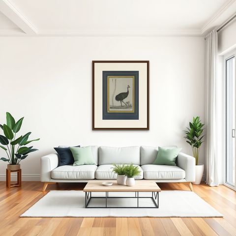 Antique Print of a Cassowary Bird by Miger 'c.1808', shown framed in a room