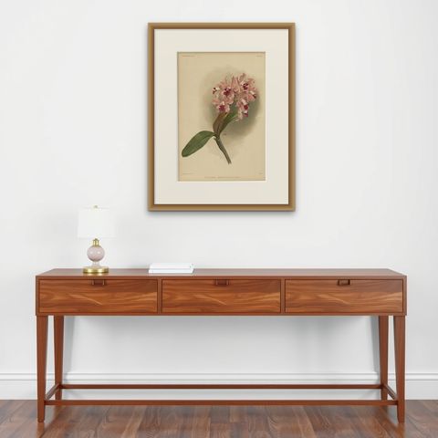 Gorgeous Impressive Large Folio Size Antique Print of an Orchid, 1888, shown framed on a wall