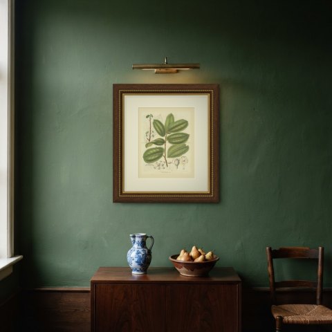 Antiaris Toxicaria, the Upas Tree, Branch with Details, 1859, shown framed on a wall