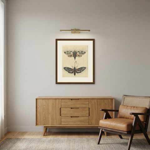 Two Large Exotic Moths, Antique Bertuch Print, circa 1815, shown framed in a room