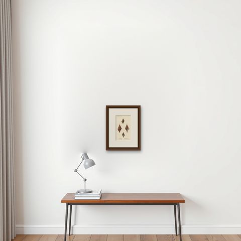 Turbinelle (Turbinella): Antique Sea Shell Print, circa 1840, shown framed on a wall
