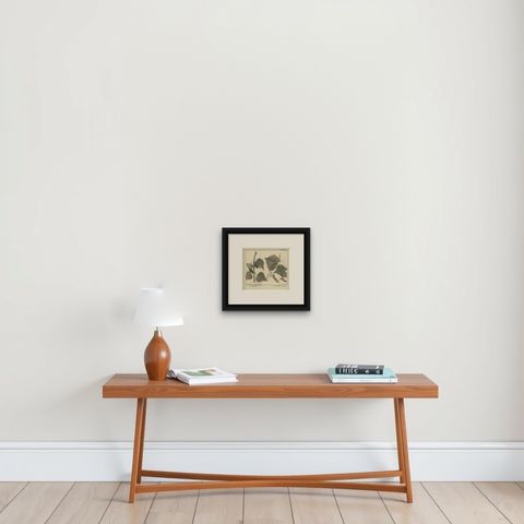 Antique Botany Print of a Birch and Lime Tree by Le Bas, 1752, shown framed on a wall