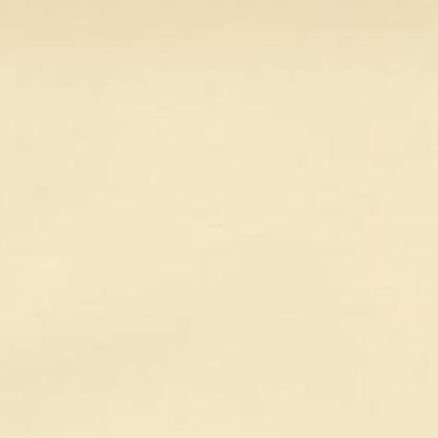 Antique Bird Print of the Common House Martin by Von Wright, 1927, close-up 1