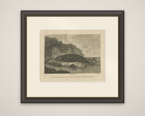 Antique Print of a Sea Otter of Nootka Sound in British Columbia, Canada, 1801, shown framed