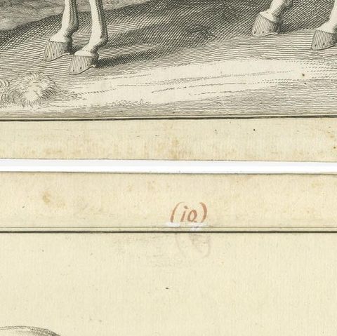 Set of 2 Antique Horse Prints: l'Arabe & Le Barbe, 1739, close-up 2
