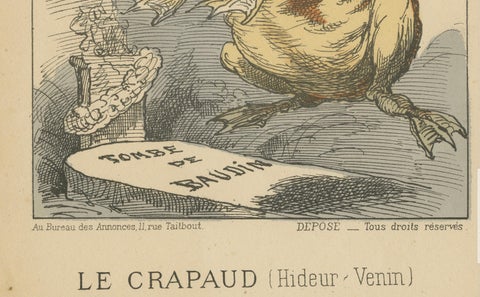 Imperial Menagerie: Pinard - The Toad (Ugliness - Venom), 1870, close-up 1