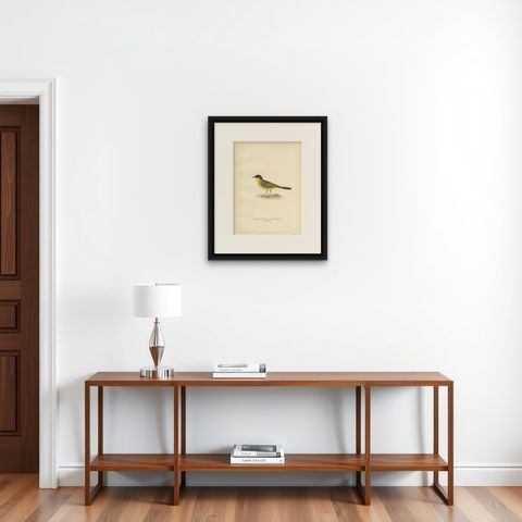 Antique Bird Print of The Western Yellow Wagtail, 1927, shown framed on a wall