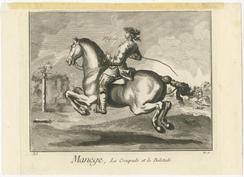 Antique Print of Horse Riding, Ballotade, view 2