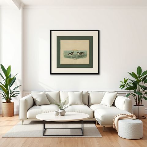 Antique Bird Print of Least Auk made after D.G. Elliot, 1869, shown framed in a room