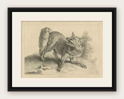 Renard, The Red Fox: An Original Detailed Etching - circa 1740, shown framed