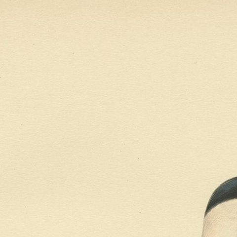 Antique Bird Print of the Caspian Tern by Von Wright, 1929, close-up 1