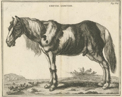 Antique Print of a Comtois Horse by Fessard, '1819', view 3