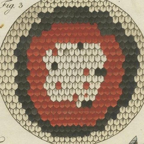 Detailed Study of Butterfly Wing Structures, 1798 Hand-Colored Engraving, close-up 4
