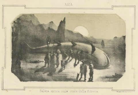 Maritime Wonders: Beached Leviathans of the 19th Century in Siberia, circa 1850, close-up 1