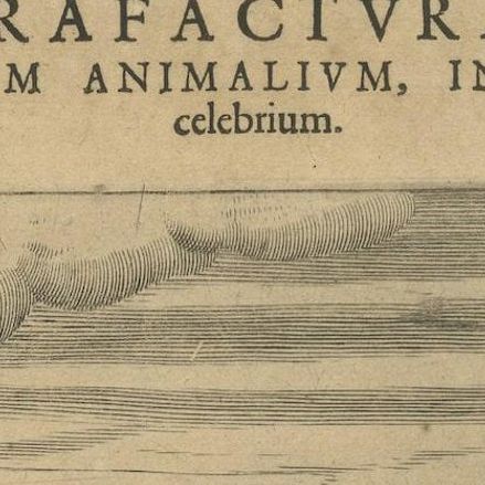 Original Copper Engraving of Various Celebrated Animals in India by De Bry, 1601, close-up 6