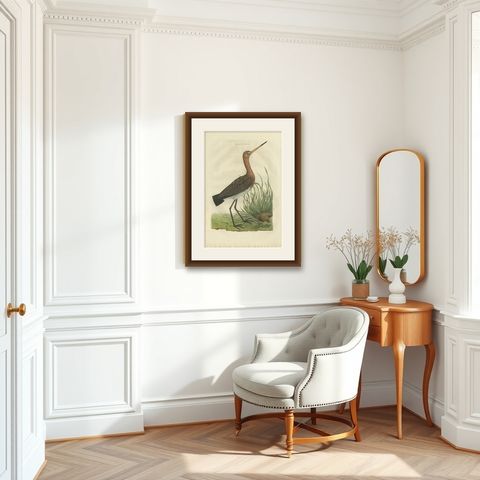 Antique Bird Print of the Black-Tailed Godwit by Sepp & Nozeman, 1770, shown framed in a room