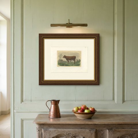 Flemish Cow, Antique French Cattle Print, Riffaut Heliogravure, 1873, shown framed on a wall