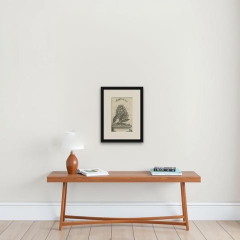 Rare Old Copper Engraving of a Clove Tree in the East Indies, Asia, 1659, shown framed on a wall
