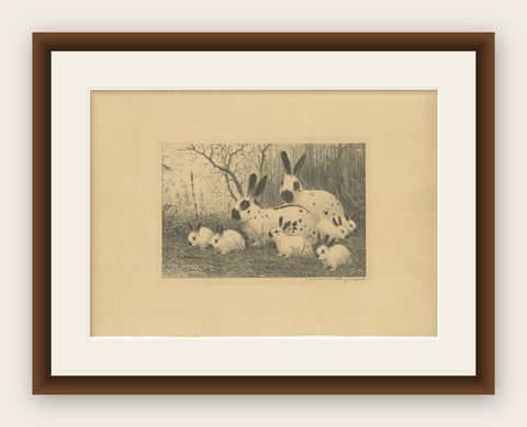 English Spot Rabbits, Wildlife Lithograph by Henri Verstijnen, c.1925, shown framed