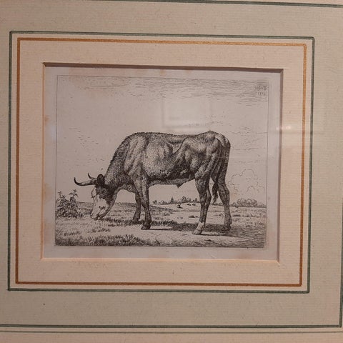 Antique Etching of a Grazing Cow by Van Troostwijk, Framed, 1810, view 3