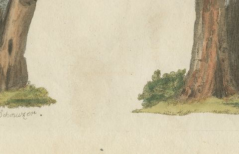 Black and Green Woodpeckers with Nuthatch, Antique Bertuch Print, circa 1805, close-up 2