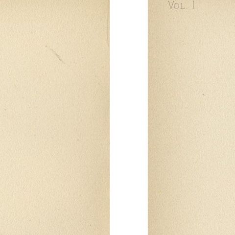 Native US Flora - Two Original Botanical Chromolithograps, 1879, close-up 1