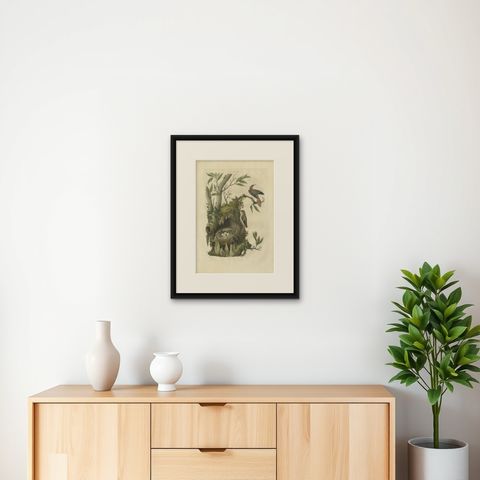 Antique Bird Print of the Certhia by Sepp & Nozeman, 1770, shown framed on a wall