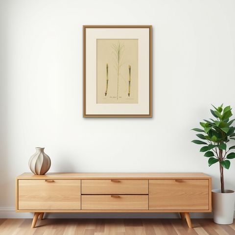 Antique Sugarcane Botanical Chromolithograph, Teboe Glagah, Java 1892, shown framed on a wall