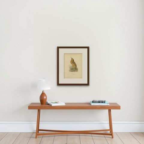 Antique Scandinavian Bird Lithograph, Eurasian Bittern, Svenska Fåglar, 1929, shown framed on a wall