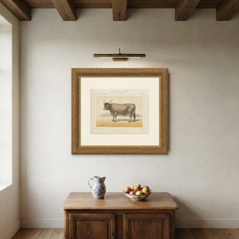 Landaise Ox with Cord Halter, French Cattle Chromolithograph, 1863, shown framed on a wall