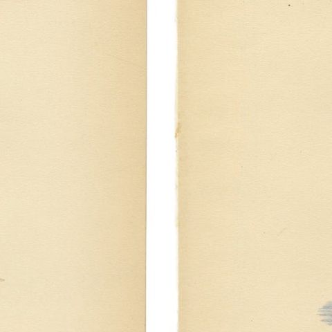 1929 Swedish Ornithology Lithographs Pair, Red-crested Pochard & Goldeneye, close-up 2