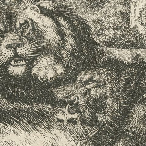 Original Antique Print of a Wild Boar and a Lion, 1811, close-up 2