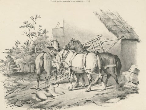 No. 20 Antique Print of Horses by Cooper, view 2